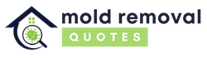 mold removal fort walton beach